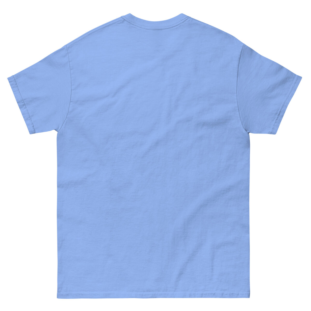 unisex classic tee carolina blue back 67b5280231385.jpg