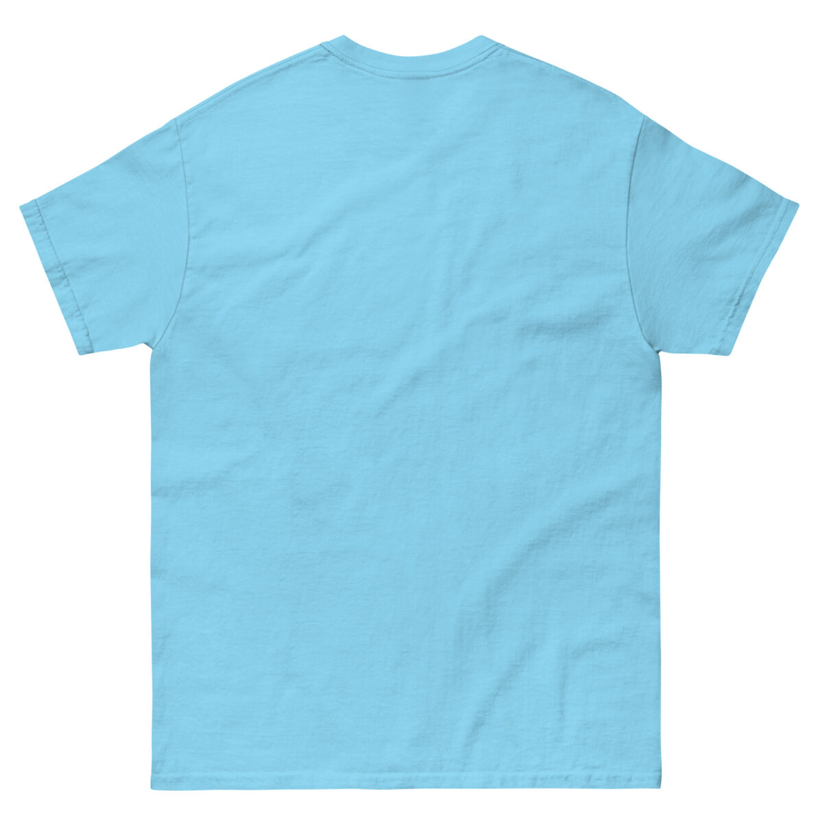 unisex classic tee sky back 67b5280242ef8.jpg